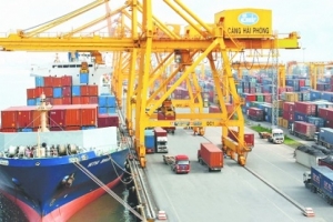 Hải Phòng: Tích cực xử lý các lô hàng phế liệu tồn đọng tại cảng