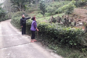 Huyện Đoan Hùng (Phú Thọ): Bản án sơ thẩm chưa thỏa đáng?