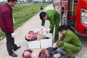 Hà Tĩnh: Bắt xe khách chở thịt, nội tạng động vật không rõ nguồn gốc