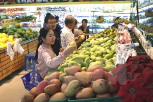 Lấy ý kiến về Dự thảo Chiến lược phát triển thương mại trong nước giai đoạn đến năm 2025