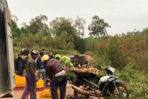 Ban hành Công điện khẩn về việc ngăn chặn tình trạng nhập lậu trái phép động vật vào VN