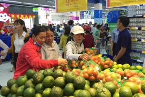 Hà Nội: Phát triển chợ thương mại điện tử tiêu thụ sản phẩm nông nghiệp an toàn