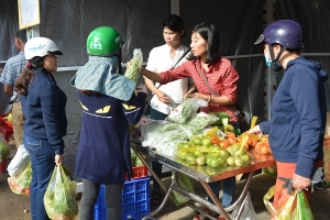 Gia Lai: Hướng đến xây dựng thương hiệu nông sản an toàn