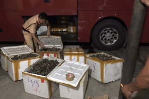 Quảng Ninh xử lý gần 2000 vụ buôn lậu, gian lận thương mại và hàng giả