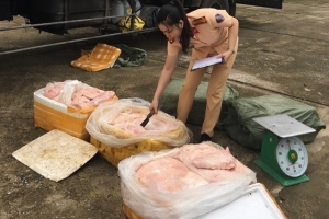 Hà Nội: Bắt giữ vụ vận chuyển 2,5 tấn nầm động vật bốc mùi hôi thối