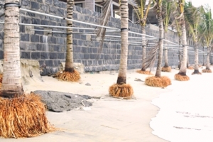 Đà Nẵng: Sóng biển dâng cao, xâm thực sâu gây sạt lở nặng