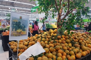 An toàn thực phẩm dịp Tết: Người tiêu dùng lo “ngay ngáy”?