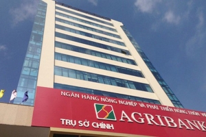Agribank rao bán đấu giá tài sản bảo đảm của Công ty TNHH Đại Việt trị giá 350 tỷ đồng