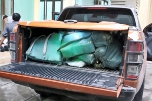 Quảng Bình: Truy nã đặc biệt bị can vận chuyển hơn 300 kg ma túy đá