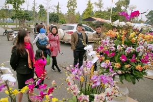 Tăng cường các biện pháp bảo đảm đón Tết Nguyên đán Kỷ Hợi vui tươi, an toàn, tiết kiệm