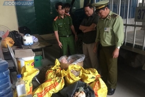 Bắt quả tang gần 1000kg chân bò, chân trâu ôi thiu tại Thanh Hóa