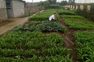 Gặp gỡ CEO trẻ của Hòa Lạc Farm với mô hình “từ trang trại đến bàn ăn”