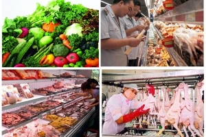 Phó Thủ tướng Vũ Đức Đam chỉ đạo bảo đảm ATTP dịp Tết nguyên đán Kỷ Hợi 2019