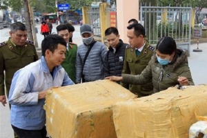 Hải Phòng: Thu giữ khối lượng lớn nội tạng động vật đang bốc mùi hôi thối