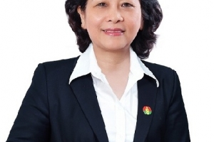 Bà Trần Thị Bình từ nhiệm chức Ủy viên HĐQT Đạm Cà Mau