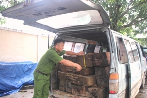 Quảng Nam: Xe ô tô gắn biển số giả, chở gỗ lậu