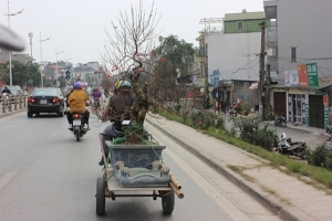 Những công việc kiếm tiền triệu dịp Tết