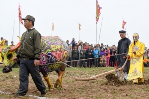 Phó Thủ tướng xuống ruộng, đi cày ở Lễ hội Tịch Điền 2019