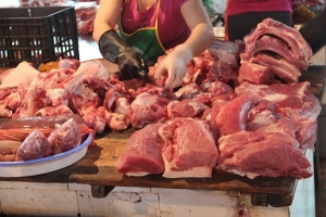 Bùng phát dịch tả châu Phi: Phòng chống buôn lậu, kinh doanh lợn không rõ nguồn gốc