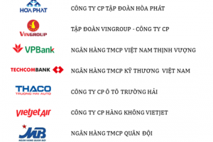 THACO trong top 10 doanh nghiệp tư nhân đạt lợi nhuận cao nhất Việt Nam
