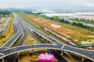 Cầu vượt mang biểu tượng hoa xương rồng 600 tỷ đồng ở Quảng Nam