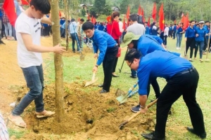 Thanh Hóa: Khởi động "Tháng thanh niên năm 2019"