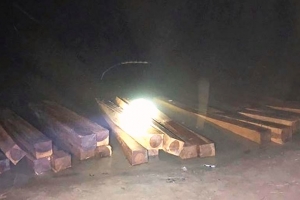 Quảng Nam: Tạm giữ 50 phách gỗ lậu trên sông Vu Gia