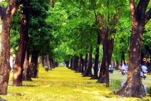 Những địa điểm hẹn hò cực kỳ lãng mạn ngày 8/3 ở Hà Nội