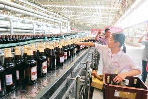 Phối hợp thực hiện Điều tra doanh nghiệp năm 2019