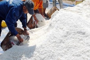 Năm 2019, hạn ngạch thuế quan nhập khẩu muối là 110.000 tấn