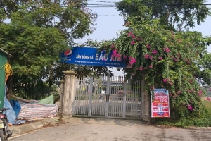 Bỉm Sơn (Thanh Hóa): Nhà kiên cố, sân bóng “mọc” trên đất được giao trồng rừng