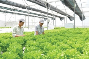 Phạt nặng nếu vi phạm kiểm dịch thực vật, thú y