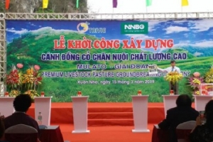 Sơn La: Khởi công dự án trồng cỏ chất lượng cao
