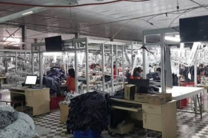 Thừa Thiên Huế: Gần 137 tỉ đồng là con số nợ đọng Bảo hiểm xã hội tính đến đầu tháng 3/2019