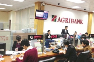 Agribank tăng khả năng tiếp cận vốn cho người dân