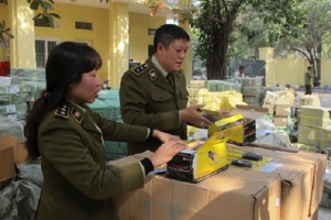 Hà Nội: Triển khai một số nhiệm vụ trọng tâm Ban Chỉ đạo 138/TP năm 2019