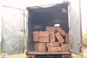 Kon Tum: Phát hiện 2 xe vận chuyển gỗ trái phép