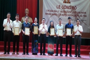 Hà Tĩnh: Nhung hươu Hương Sơn được cấp bảo hộ chỉ dẫn địa lý