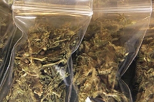 Hà Nội: Bắt giữ 4.153g thảo mộc sấy khô nghi là ma túy