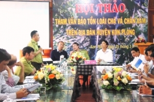 KonPlông-KonTum: Loài voọc chà vá quý hiếm cần được bảo vệ khẩn cấp