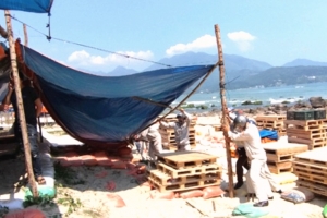 P. Hòa Hiệp Nam-Đà Nẵng: Tháo dỡ lều, bạt dựng trái phép tại ghềnh đá Nam Ô