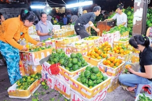 Phê duyệt Văn kiện DA Khảo sát, nghiên cứu khả thi DA xây dựng chợ đầu mối quốc tế nông sản
