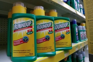 Việt Nam dừng nhập khẩu thuốc trừ cỏ chứa hoạt chất Glyphosate