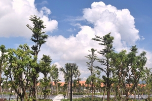 Đà Nẵng: Đầu tư 14 tỷ đồng mở đường xuống biển giữa Furama Resort và khu Ariyana