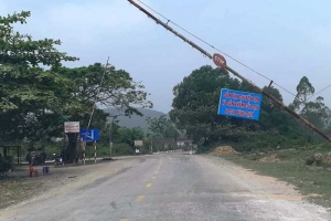 Nghệ An: Đã phát sinh ổ dịch tả lợn châu Phi thứ 7