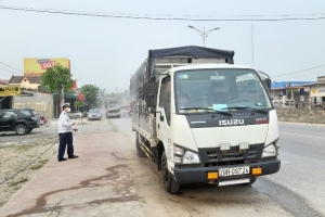 Nghệ An: Phát sinh ổ dịch tả lợn châu Phi thứ 8