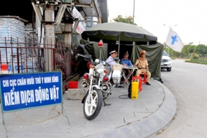 Xuất hiện thêm ổ dịch tả lợn Châu Phi tại Ninh Bình