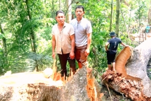 Quảng Nam: Xác định 2 đối tượng phá rừng phòng hộ Đắk Mi