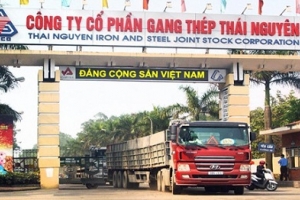 Bắt 5 cựu lãnh đạo Gang thép Việt Nam và Gang thép Thái Nguyên