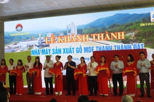 Phó thủ tướng dự lễ khánh thành Nhà máy gỗ MDF Thanh Thành Đạt